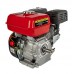 Двигатель бензиновый DDE E650-S19