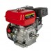 Двигатель бензиновый DDE E700-S19